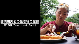 那須川天心の生き物の記録 第10話 『Don't Look Back』
