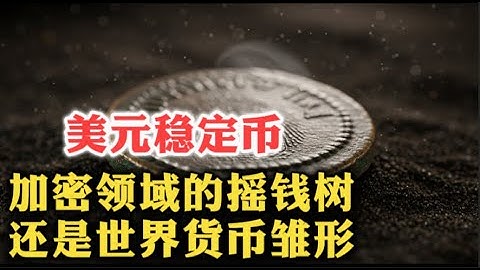 美元稳定币USDC公司CEO：稳定币是加密领域的摇钱树？还是世界货币雏形？| 美国国债 | 金融风险 | 天才法案 | 中心化货币 | 数字美元 | 全额储备 | 未来金融 |