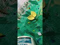 creating patterns with a palette 🎨🖌️🫟