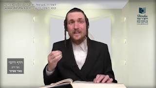 הדף היומי מסכת בכורות דף לו