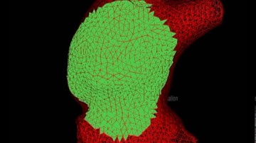 SOFA - Topological Operations