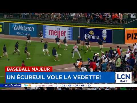 Squirrel causes chaos during a baseball game