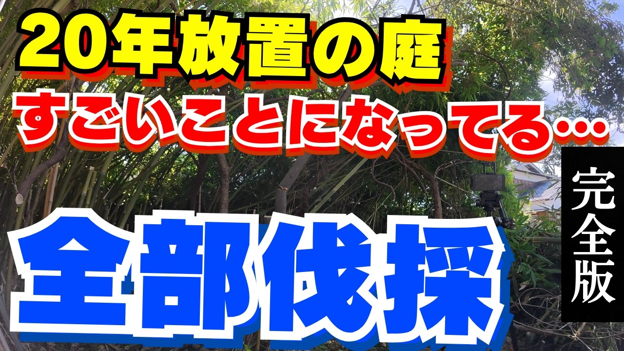 【総集編:完全版】20年放置の荒れまくった庭木の伐採‼︎岡山でジャングル庭を再生した劇的ビフォーアフター