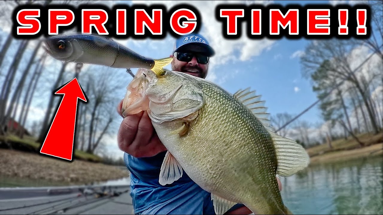 Watch Spring Fishing Tips For Bass! ( Dropshot, Chatterbait, Glide Bait )  Video on