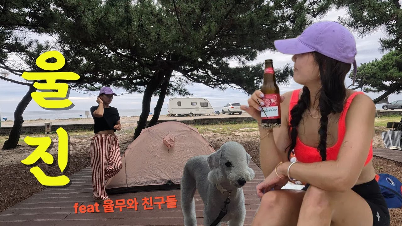 선풍기가 필요 없는 바닷가 앞 소나무 그늘 데크!! 친구들과 울진 캠핑!