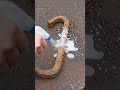 Instant Rust Removal Spray, Satisfying ASMR : #rust #spray #satisfying #asmr