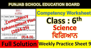 pseb competency based paper class 6th science worksheet 9 test 2024