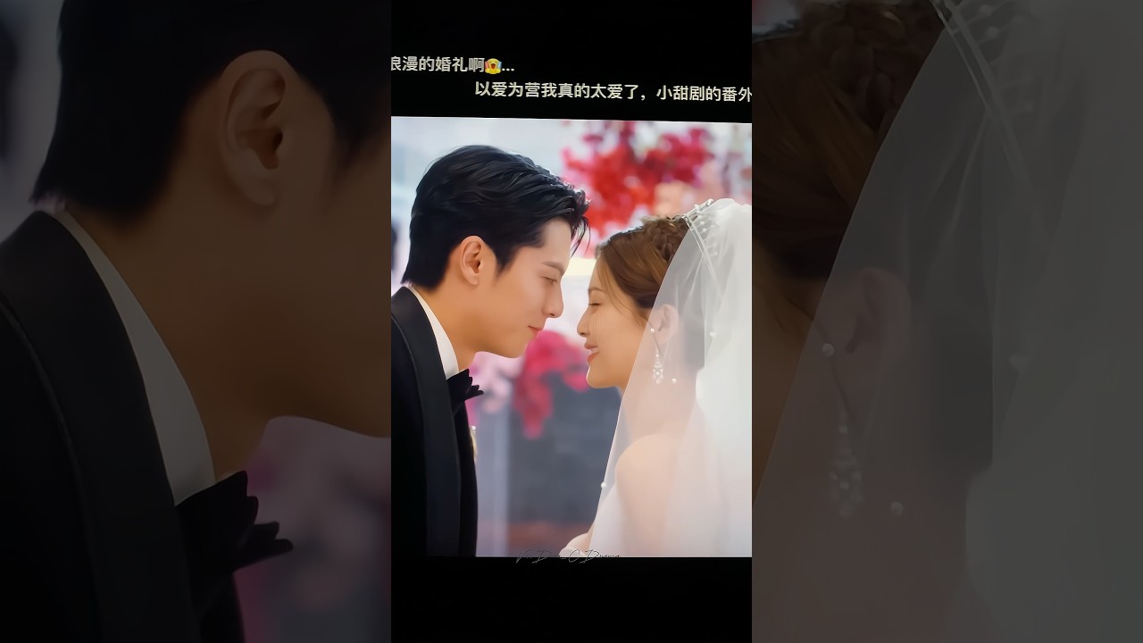 Special Ep Wedding scene onlyforlove  bailu  dylanwang  wanghedi  cdrama  shorts  edits