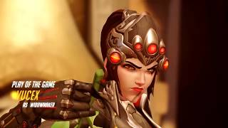 Insane Widow Flick