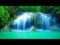 🔴Peaceful Relaxing Music LIVE 24/7: Music for Deep Sleep. Music for Spa and Massage. Mindful Music