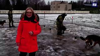 Defusing mines with combat engineers