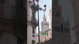 Visitando a Sevilla Parte 2 #viajes #España #andalucia #eurotrip