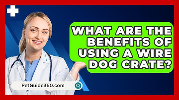 What Are The Benefits Of Using A Wire Dog Crate? - PetGuide360.com