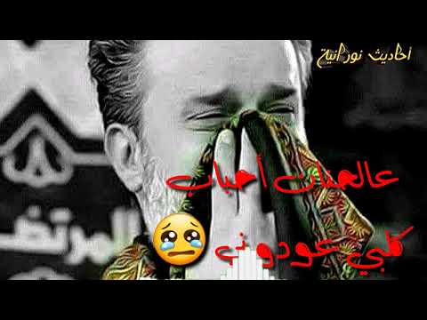 عل الحنان احباب كلبي عودوني باسم الكربلائي
