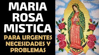 Oración a María Rosa Mística para urgentes necesidades y problemas screenshot 4