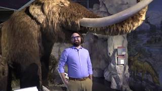 Museums For All at the San Bernardino County Museum