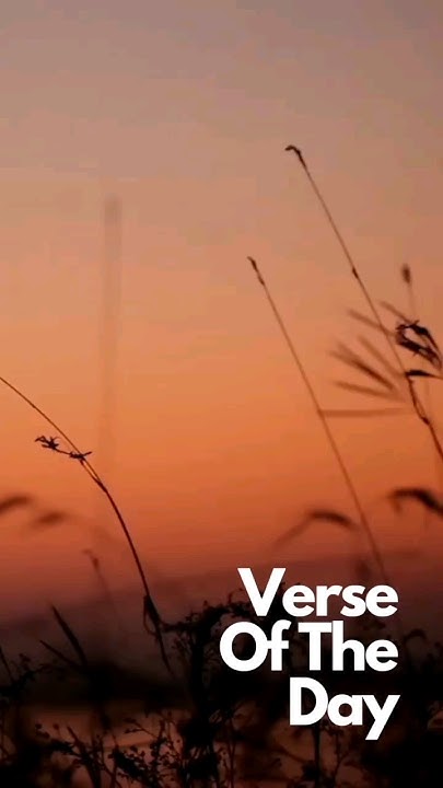 verse-of-the-day-2nd-kings-20-5-bibleverse-votd-pullupyoshorts