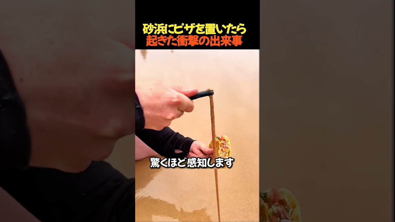 ハンバーガーで巨大ビーチワームを釣る方法とは