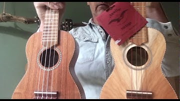 Aquila Super Nylgut high G vs Aquila red low G - APC carvalho concert CT ukulele stringsets