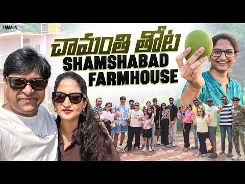 New Farmhouse visit at Shamshabad | చామంతి పూల తోట | పాల సపోటాలు Harvest @MohanaMadhilo