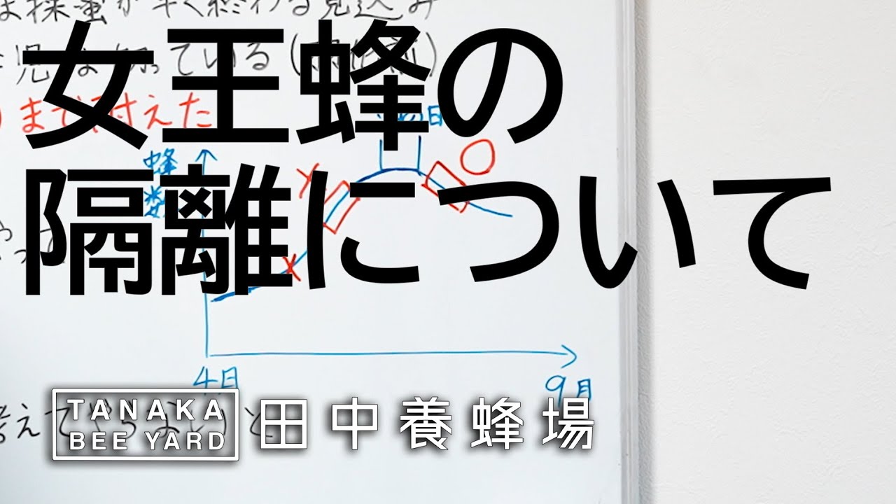 女王蜂の隔離の有効性と注意点に関する自分の意見