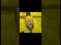 If you felt tensionfree then subscribe.| #reality #peaceofmind #premanandjimaharaj #like #subscribe