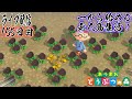 【あつ森】毎日ライブ！一から始める無人島生活！【155日目】