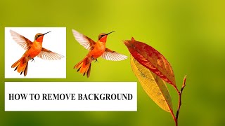 How to remove background | #photoshop #tipsandtricks 