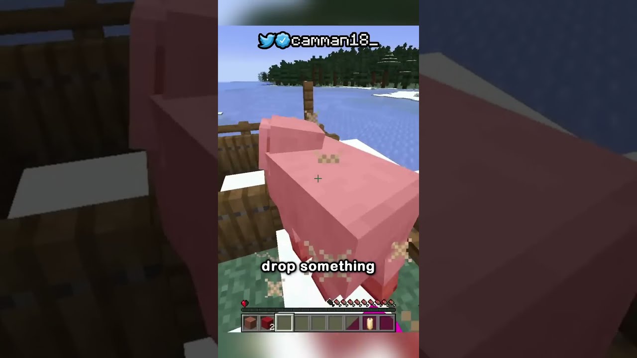 Minecraft But Block Drops Are Random AND I Have Half A Heart 