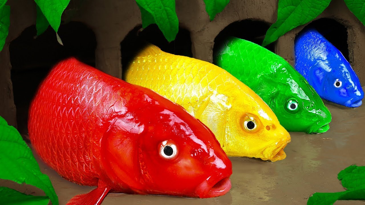 rainbow-koi-fish-mysterious-cave-expedition-fun-videos-of-fish-stop