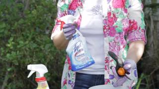 Subscribe now: http://www./subscription_center?add_user=ehowgarden
watch more: http://www./ehowgarden sterilizing your garden shears
wi...