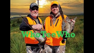 WhoTeeWho Pheasant Hunting in Utah