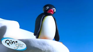 Pingu's Prank Goes Wrong 🐧 | Pingu - Official Channel | Cartoons For Kids