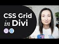 How to use CSS Grid in Divi + Free Layout Set