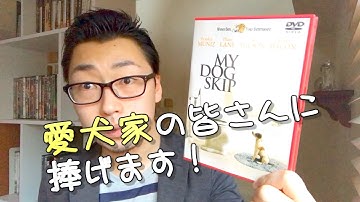 【この映画がスゴイ】ネタバレなし！マイ・ドッグ・スキップ！