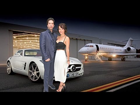 Video: David Schwimmer Net Worth