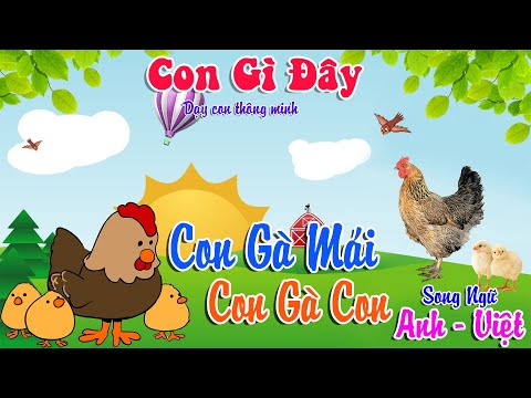 Video Con Gì Đây | Dạy Bé Đọc Tên Các Con Vật | Con Gà Mái &... - youtube
