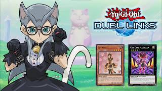 yugioh cathy deck Katherine - Tiny Cat World Structure Deck: Cathy Katherine /