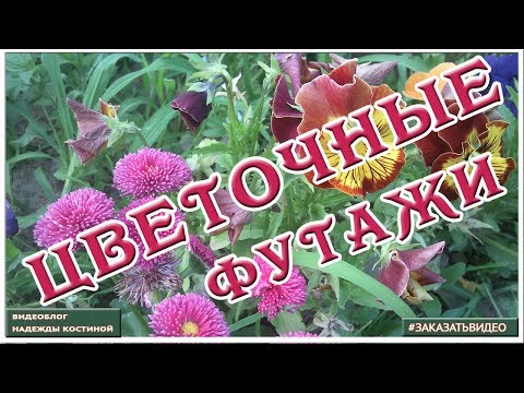 🌺🌺🌺 Натуральные видеофоны 🌺🌺🌺 Цветочные футажи HD 🌺🌺🌺