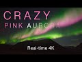 CRAZY PINK AURORA in Tromsø, Norway 😱 - real-time 4K ProRes RAW