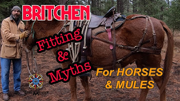 Reasons to Use a Britchen Rather Than a Crupper for Horses and Mules