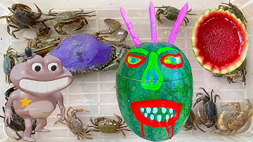 Kem Ốc Chanel bắt quái vật ăn con cua, con vịt, con cá, con mèo, con bò, con ếch. Làm thạch dưa hấu.