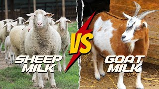 SHEEP MILK VS GOAT MILK: WHICH IS THE HEALTHIER CHOICE?