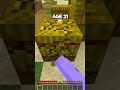 Minecraft bases at different ages worlds smallest violin