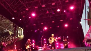 Tears for Fears - Pale shelter Tears for Fears -Pale Shelter@ Newmarket racecourse 29 July 2016