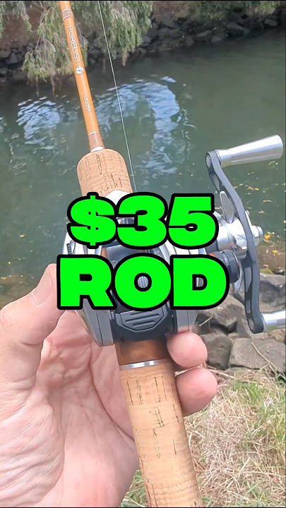🔥 SUPER Ultralight BFS Fishing Rod you must try!