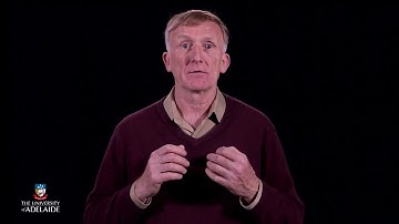 AnalyticsX: From network structures to training networks