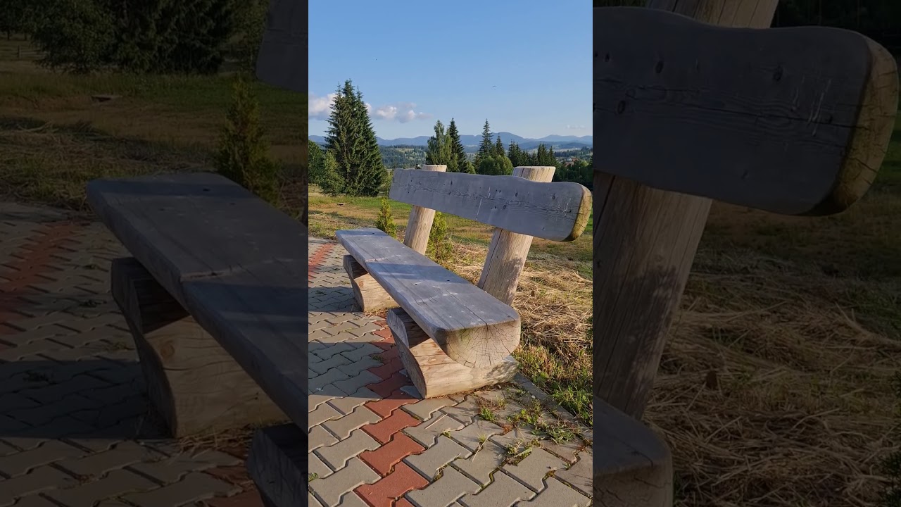 EVS Camp - tabăra reVitalizat
