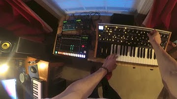 Moog Subsequent 37 + Roland-TR 8S | Night Jam