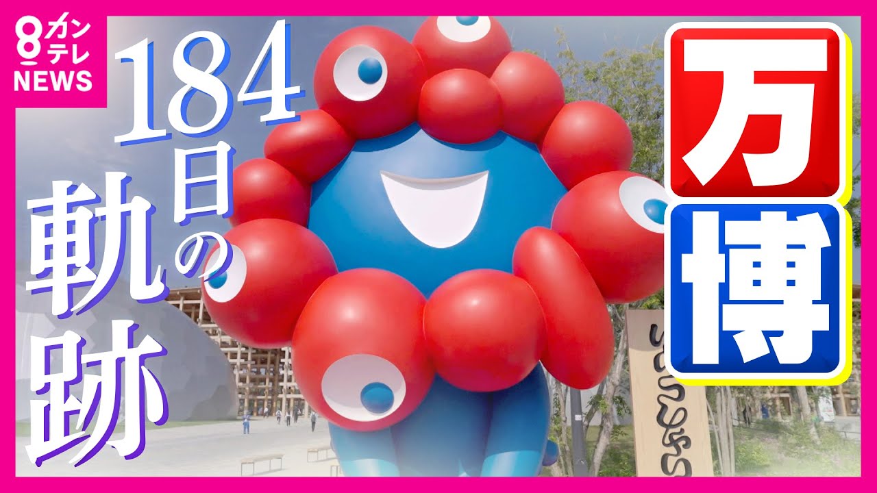 Expo] A complete summary of 184 days: 